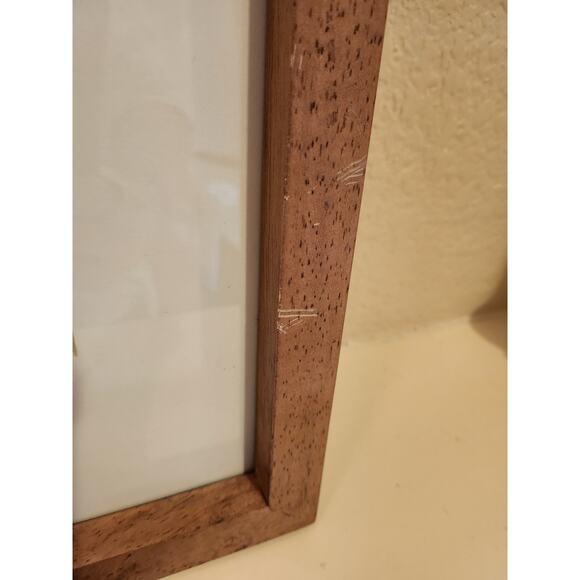 Framed J. & E. Gould - Nectarina Famosa Lithograph Print 17 1/2 x 21 1/2" - Picture 15 of 16